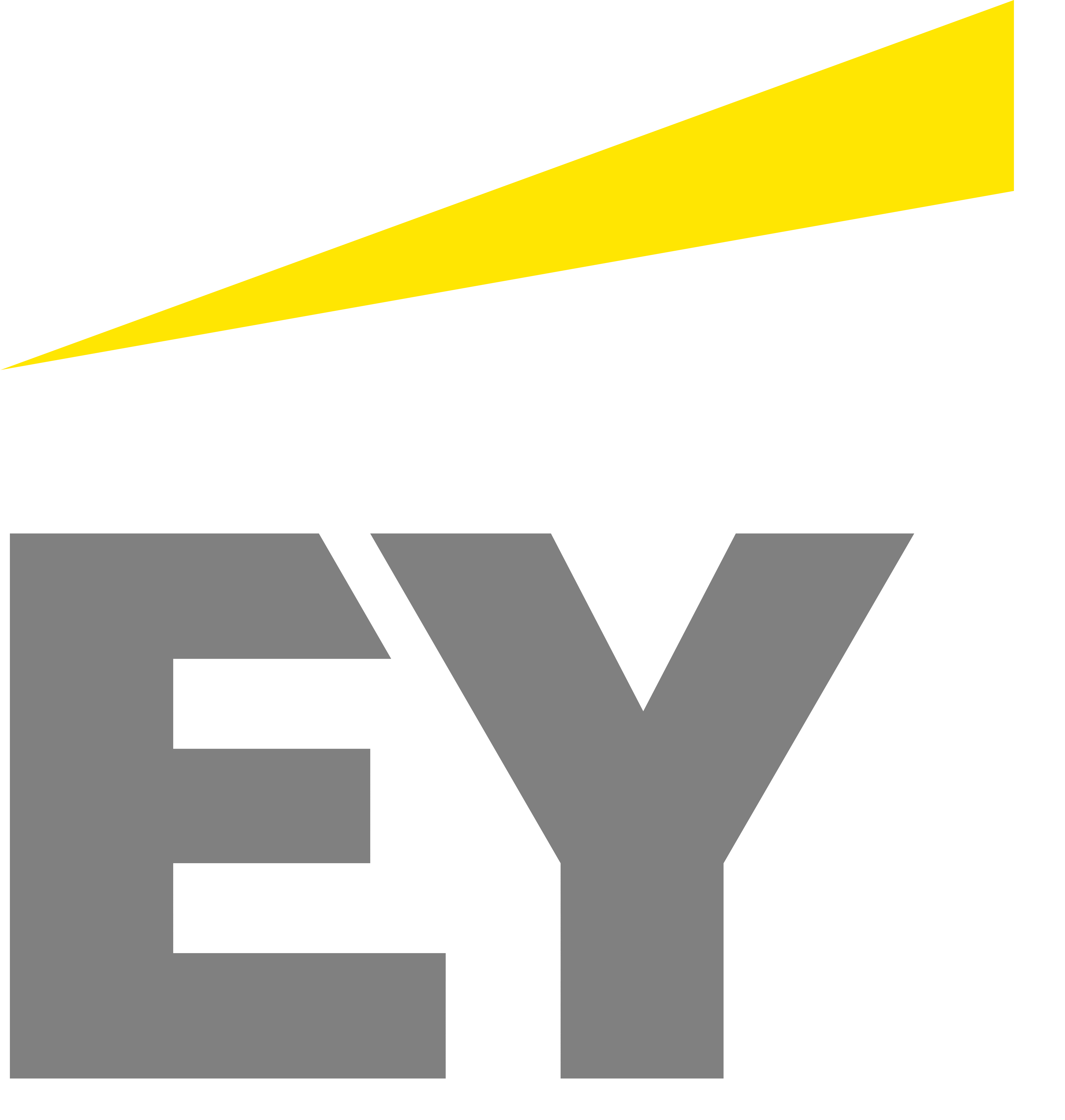 Ernst & Young Co LLP Logo